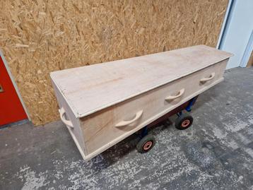 Levensechte en grote doodskist met draaiknoppen halloween beschikbaar voor biedingen