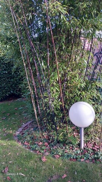 Tuinlamp Bol - Energiezuinig & Gegalvaniseerd beschikbaar voor biedingen