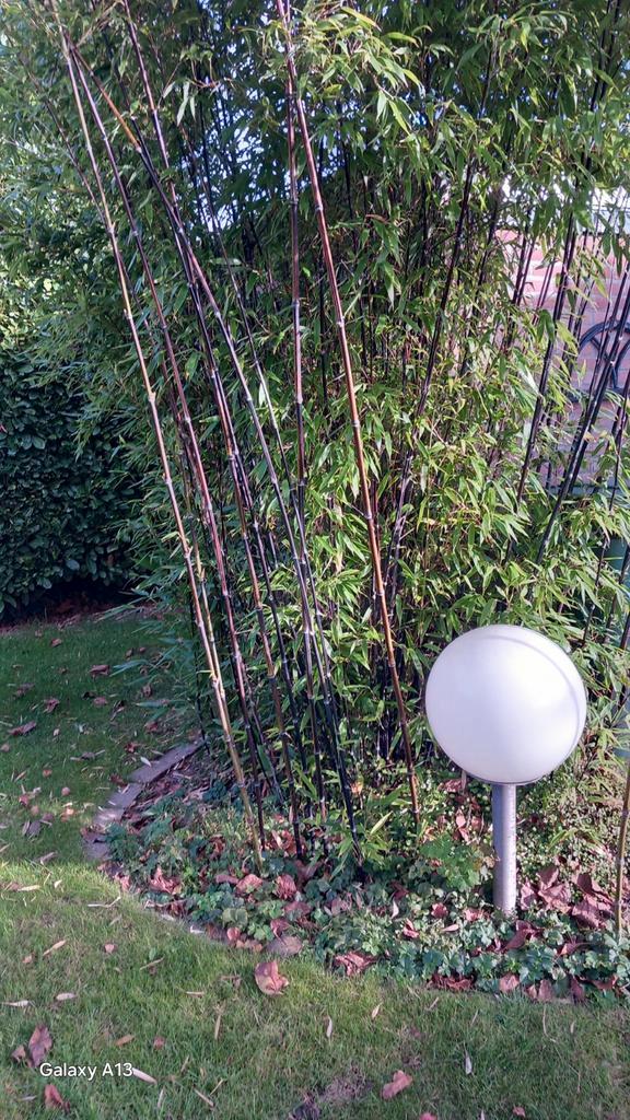 Tuinlamp Bol - Energiezuinig & Gegalvaniseerd, Tuin en Terras, Planten | Bomen, Ophalen of Verzenden