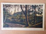 Zeist, 1926, kleur, mooie postzegel, "In 't Zeister Bosch", Ophalen of Verzenden, 1920 tot 1940, Gelopen, Utrecht