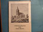 n merkwaardig dorp in de Neder-Betuwe, Ophalen of Verzenden, Gelezen