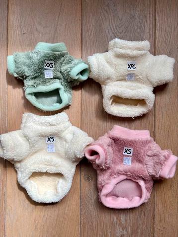 Hondentrui Teddy Handmade Chihuahua York Pup Pom Naakthond beschikbaar voor biedingen