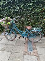 Alpina Cargo - 20 inch, Fietsen en Brommers, Fietsen | Meisjes, Ophalen, Alpina, 20 inch, Handrem