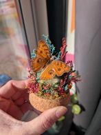 Mini Glazen Stolp met Droogbloemen, Labradoriet & Vlinder, Huis en Inrichting, Ophalen of Verzenden, Nieuw