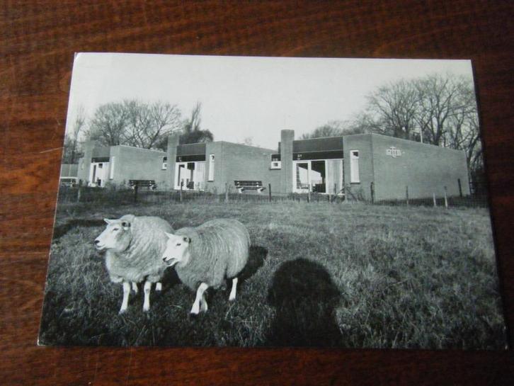 V30 - Haamstede - RTM-Vakantiebungalows - Mooie kaart, Verzamelen, Ansichtkaarten | Nederland, Verzenden