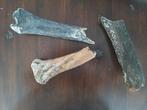 15 botfragmenten oertijd. Mammoet, oerpaard, neushoorn, Verzamelen, Ophalen of Verzenden
