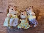 Sylvanian families familie eekhoorn compleet, Ophalen of Verzenden, Zo goed als nieuw, Poppenhuis