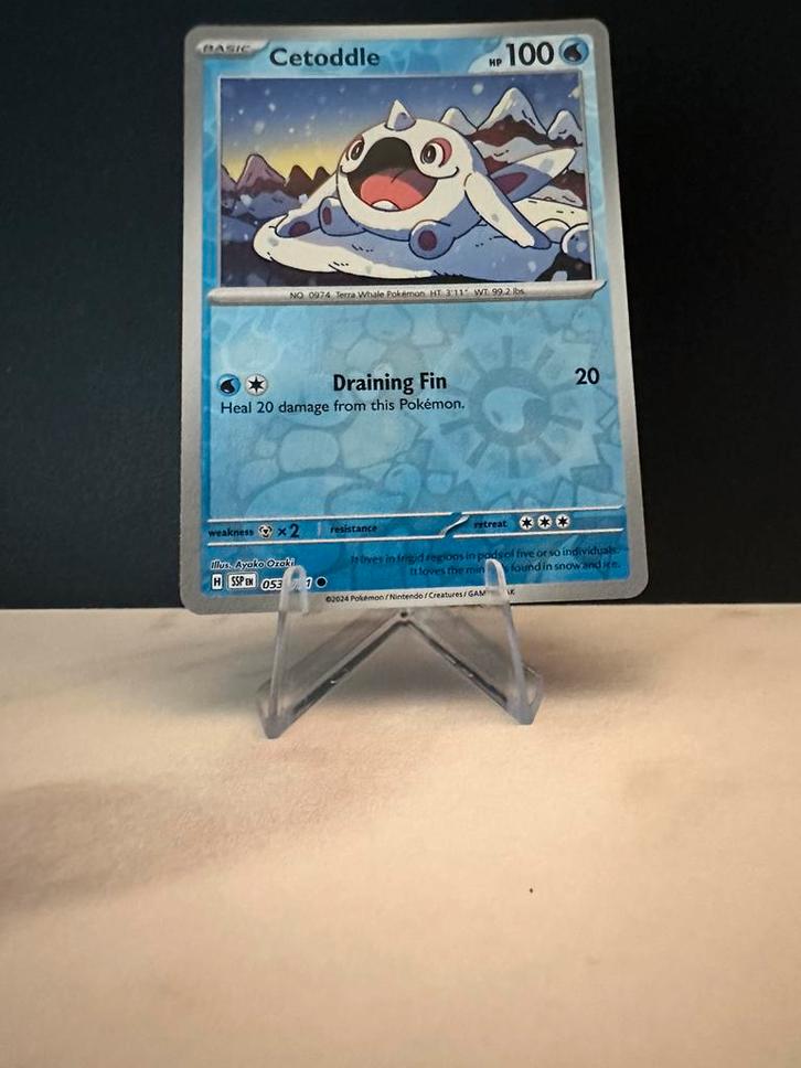 Cetoddle 053/191 Surging Sparks - NM, Hobby en Vrije tijd, Verzamelkaartspellen | Pokémon, Zo goed als nieuw, Ophalen of Verzenden