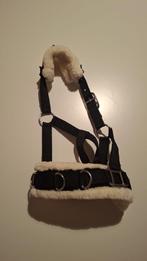 Kaptoom (mini) shetlander, Ophalen of Verzenden, Nieuw, Overige soorten