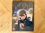 Fantastic Beasts and Where to Find Them (2016) op DVD (NL), Vanaf 9 jaar, Ophalen of Verzenden, Zo goed als nieuw