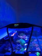 Maxspect rsx200 aquarium verlichting, Ophalen of Verzenden