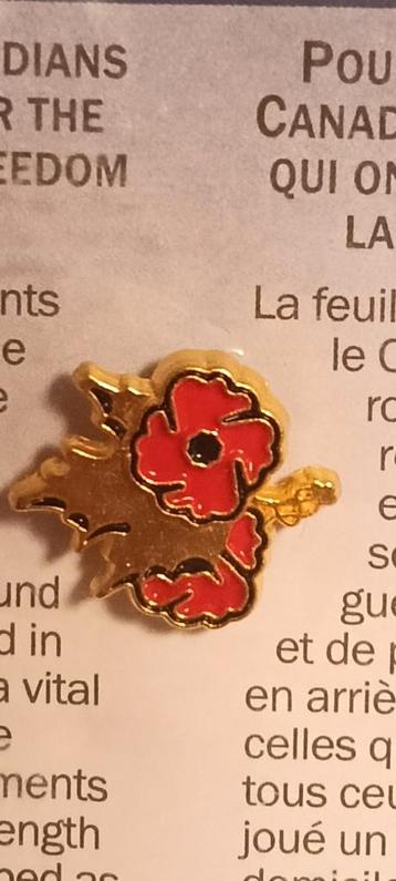 Canadese Poppy Speld - Nieuw beschikbaar voor biedingen