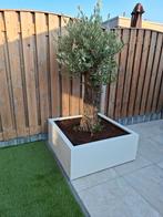 Met een plantenbak van MissID Lifestyle thuis genieten, Tuin en Terras, Bloembakken en Plantenbakken, 100 cm of meer, Vierkant