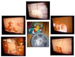 8mm film Tom & Jerry -the Goldfish- 60mtr kleur geluid -, Ophalen of Verzenden, 16mm film