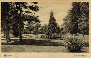 Apeldoorn - Wilhelminapark. - man bruggetje - gelopen beschikbaar voor biedingen