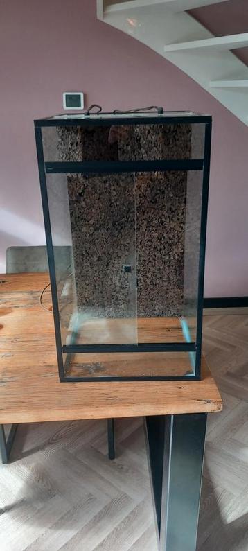 Terarium 40 40 60 beschikbaar voor biedingen