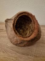 Kokos noot voor in vogel kooi, Ophalen of Verzenden, Gebruikt, Kooi-accessoires