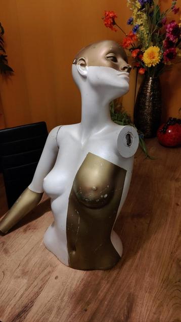 4 Paspoppen torsos bustes beschikbaar voor biedingen