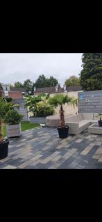betontegels 21 x 42 x 7, Tuin en Terras, Tegels en Klinkers, Ophalen, Zo goed als nieuw, Beton, Terrastegels
