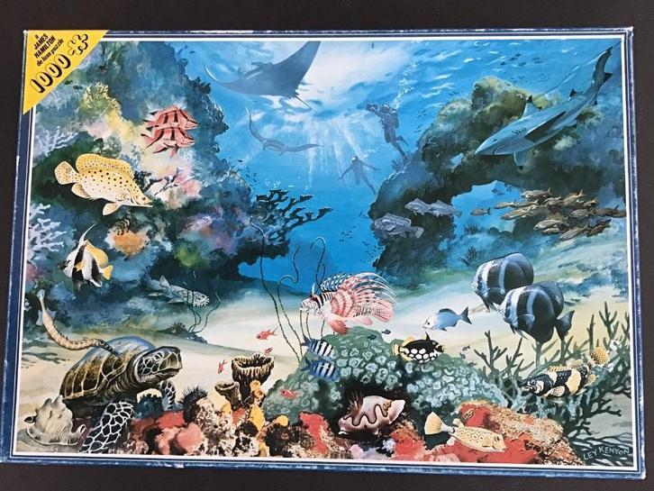 James Hamilton DeLuxe Puzzel The Great Barrier Reef 1000 st, Hobby en Vrije tijd, Denksport en Puzzels, Legpuzzel, 500 t/m 1500 stukjes