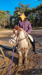 Super brave Tinker ruin, te koop., Dieren en Toebehoren, Ruin, Recreatiepony