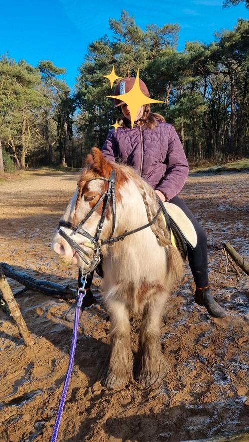 Super brave Tinker ruin, te koop., Dieren en Toebehoren, Pony's, Ruin, Recreatiepony