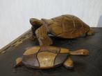 2 mooi uit hout gesneden schildpadden 23/14 cm, Ophalen of Verzenden