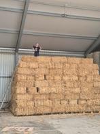 Te koop kleine pakjes stro en midibalen / midi balen., Dieren en Toebehoren, Stalling en Weidegang
