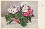 BLOEM BLOEMEN BELIJDENIS JAREN 50 ZEER MOOIE KAART KH194, Ophalen of Verzenden, 1940 tot 1960, Ongelopen, Overige thema's
