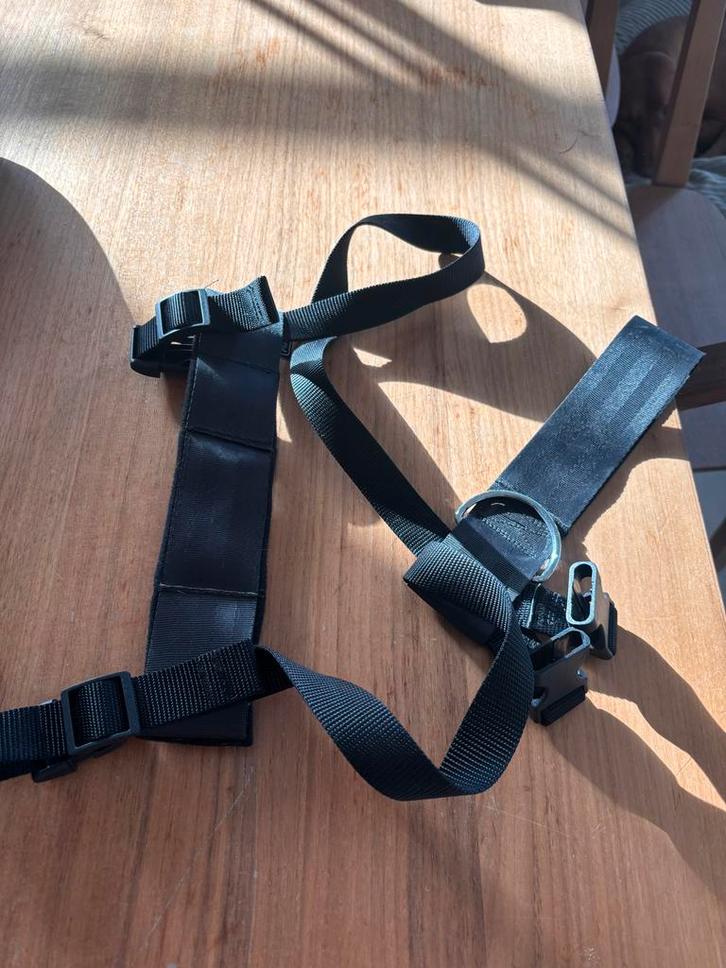 Honden Autogordel, Dieren en Toebehoren, Honden-accessoires, Gebruikt, Ophalen of Verzenden