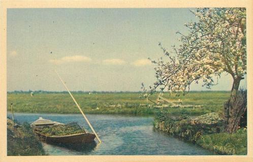 (388-437-009) Nederland, Verzamelen, Ansichtkaarten | Nederland, Verzenden