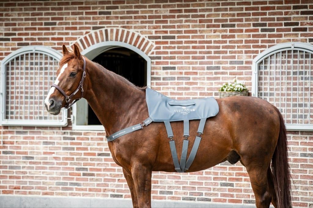Te huur: Equilibrium massage pad, Dieren en Toebehoren, Paarden en Pony's | Overige Paardenspullen, Nieuw, Overige soorten, Ophalen