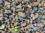 lava stenen, Tuin en Terras, Grind, Keien en Split, Ophalen, Bruin, Overige typen, Nieuw