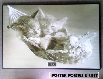 grote metalen lijst 61 x 91 zwart poster kat poes kittens beschikbaar voor biedingen
