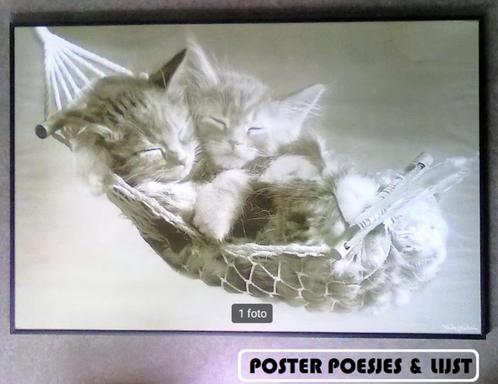 grote metalen lijst 61 x 91 zwart poster kat poes kittens, Huis en Inrichting, Woonaccessoires | Lijsten, Gebruikt, 75 cm of meer