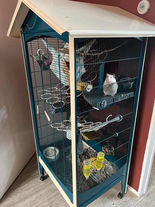 (Ratten) knaagdier kooi., Dieren en Toebehoren, Knaagdieren en Konijnen | Hokken en Kooien, Zo goed als nieuw, Kooi, Ophalen