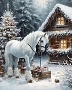 Te koop ,midi balen hooi verpakt., Dieren en Toebehoren, Paarden en Pony's | Overige Paardenspullen, Ophalen, Nieuw, Overige soorten
