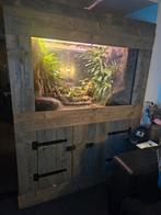 Paludarium met steigerhouten kast, Dieren en Toebehoren, Reptielen en Amfibieën | Toebehoren, Ophalen, Zo goed als nieuw