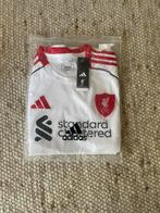 Liverpool uitshirt 25/26, Maat L, Ophalen of Verzenden, Zo goed als nieuw, Shirt