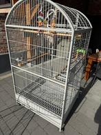 Grote montana papegaaienkooi nieuwstaat, Dieren en Toebehoren, Ophalen of Verzenden, Zo goed als nieuw, Metaal, Vogelkooi