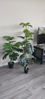 Mooie kunstplanten, Huis en Inrichting, Kamerplanten, Groene kamerplant, Ophalen, Volle zon, 100 tot 150 cm