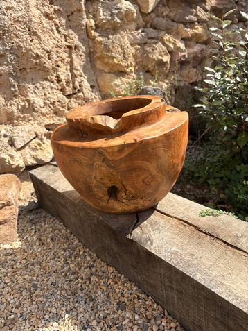 Olijfhouten Pot/Vaas - Organisch Design beschikbaar voor biedingen