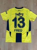 Fenerbahce authentic spelersshirt 24/25, Sport en Fitness, Voetbal, Ophalen of Verzenden, Zo goed als nieuw, Shirt