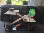 Hamster verblijf met accessoires, Kooi, Gebruikt, Minder dan 75 cm, Hamster