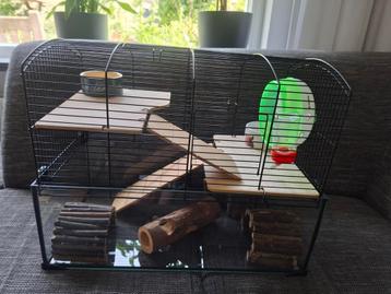 Hamster verblijf met accessoires  beschikbaar voor biedingen