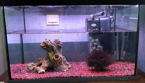 60cm aquarium, Dieren en Toebehoren, Vissen | Aquaria en Toebehoren, Zo goed als nieuw, Leeg aquarium, Ophalen