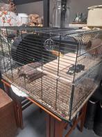 Hamster kooi, Dieren en Toebehoren, Knaagdieren en Konijnen | Hokken en Kooien, 60 tot 90 cm, Kooi, Minder dan 75 cm, Gebruikt