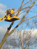 Bomen snoeien - kappen - vellen - rooien, Tuinonderhoud of Snoeiwerk
