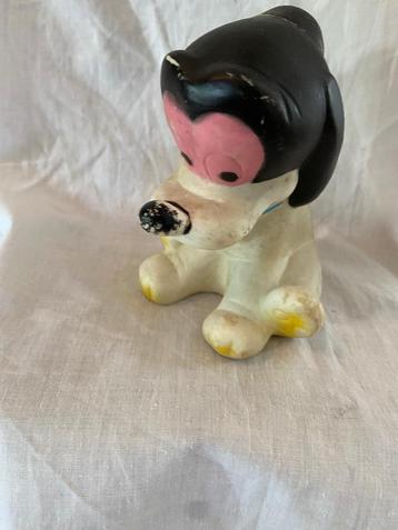 Piepbeestje hondje beschikbaar voor biedingen
