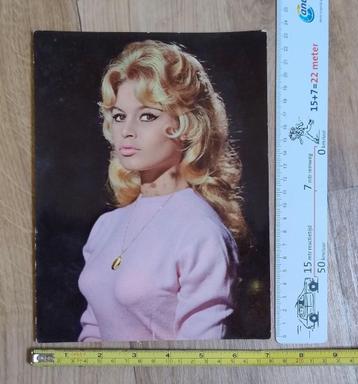 Supergrote kleurenfoto BRIGITTE BARDOT 60er jaren (nr14) beschikbaar voor biedingen